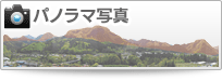 �p�m���}�ʐ^
